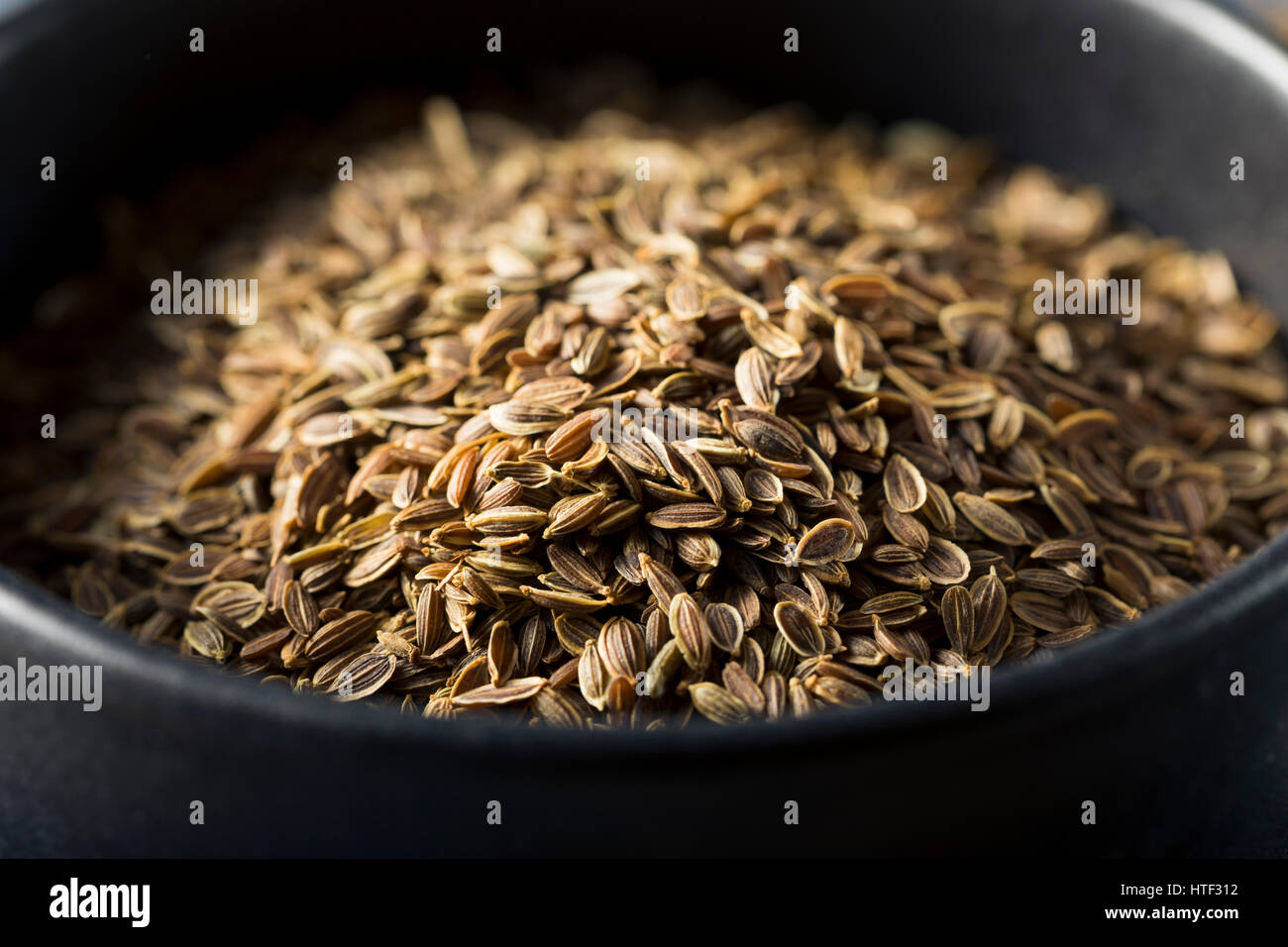 Tarragon Seeds - Russian - Heirloom Untreated NON-GMO From Canada