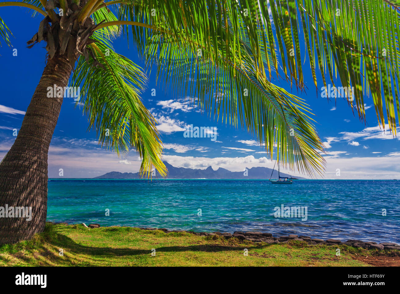 Scenic tropical view tahiti island hi-res stock photography and images ...
