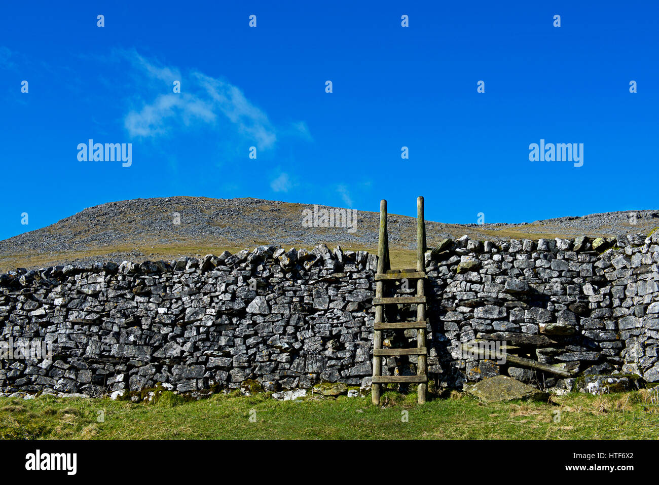 Ladder stile over wall, Wharfedale, Yorkshire Dales National Park