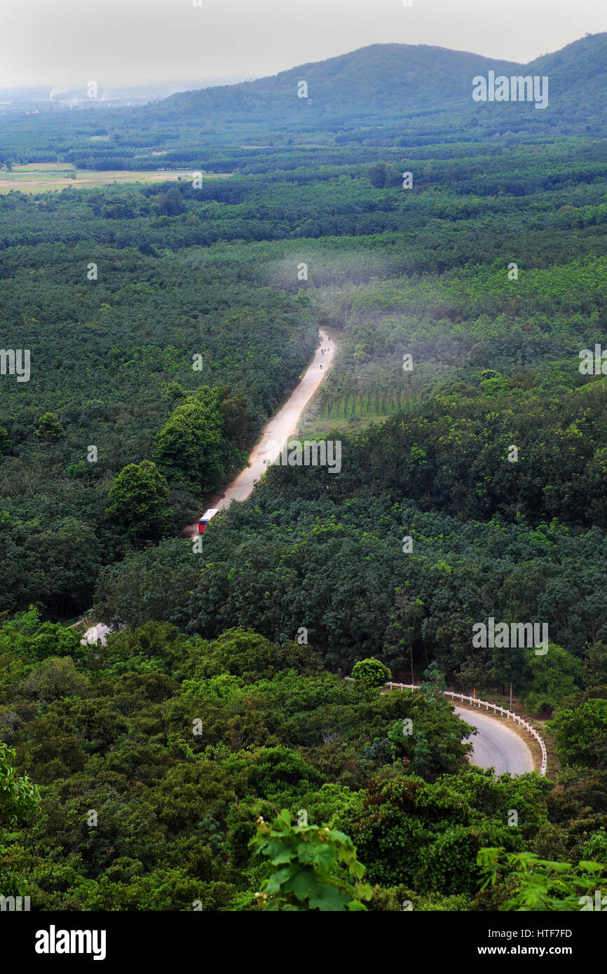 Vietnam jungle path hi-res stock photography and images - Alamy