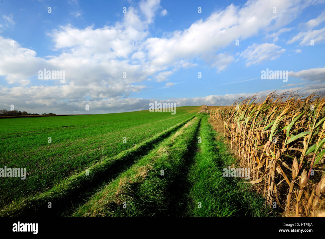 Mongol battle hi-res stock photography and images - Page 2 - Alamy, image size:1300x956