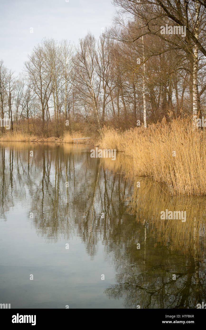Trees reflect on the surface of a lake Stock Photo - Alamy