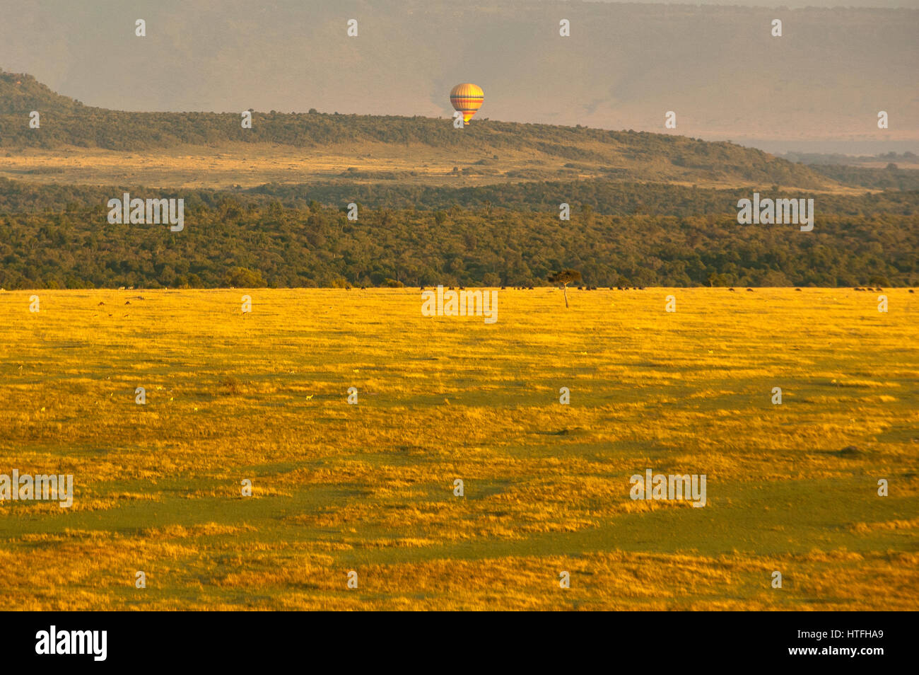 Masai Mara Game Reserve, Kenya Stock Photo