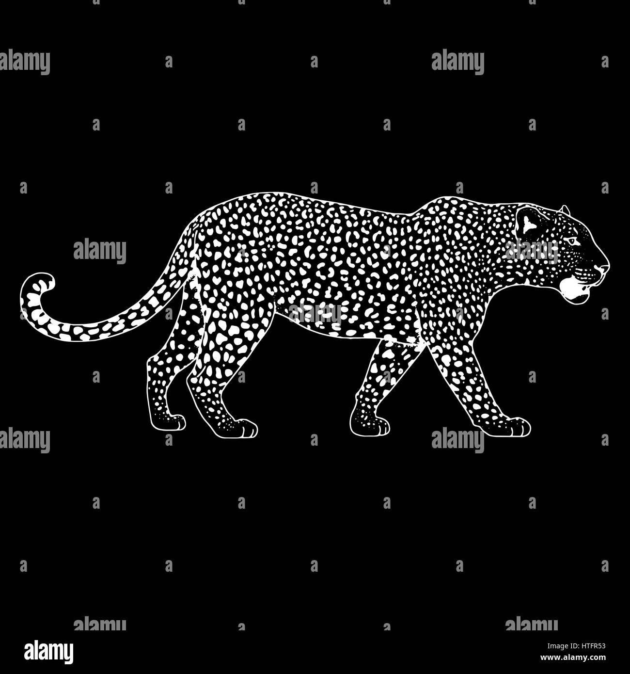 Leopard face tattoo ,Vector illustration, print Stock Vector Image