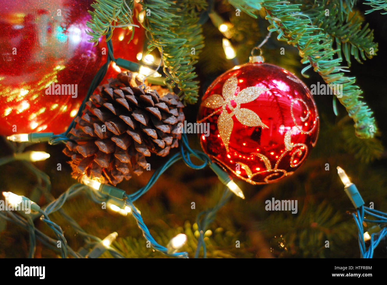 Real Christmas Tree Stock Photos & Real Christmas Tree Stock Images - Alamy