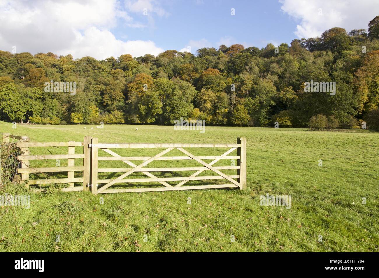 Someones taken offence! A gate in a grass field with woodland behind, but with no fence next to the gate. Stock Photo