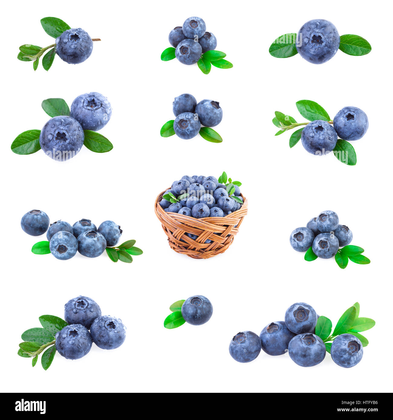 Blueberries Collection Stock Photo