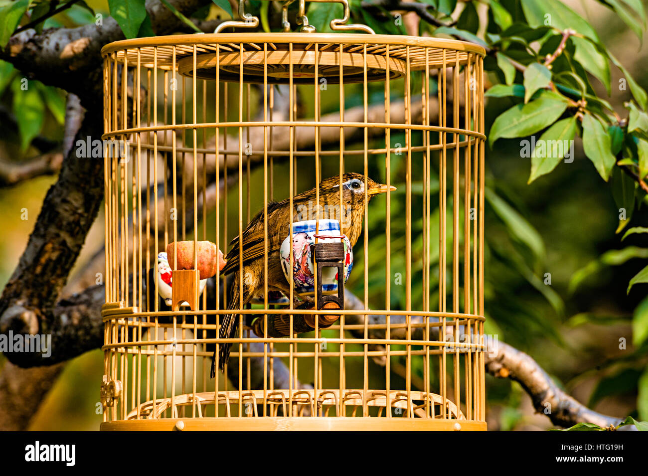 Decorative Birdcage With A Fake Bird Inside Embellishing The Garden  High-Res Stock Photo - Getty Images