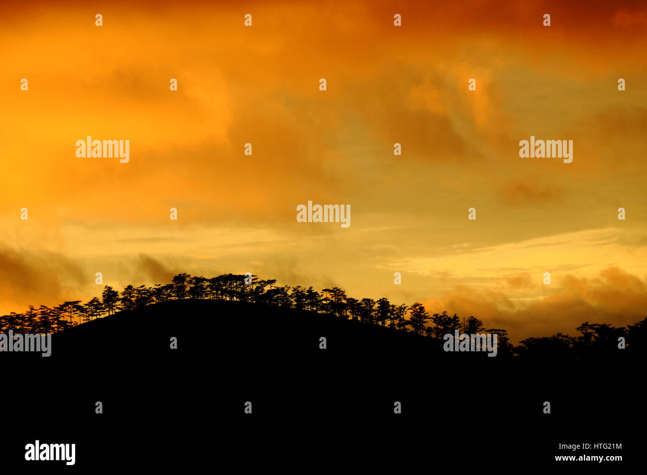 Amazing landscape of Dalat countryside in sunset, vibrant yellow sky with silhouette of row of trees make wonderful scene for Vietnam travel Stock Photo