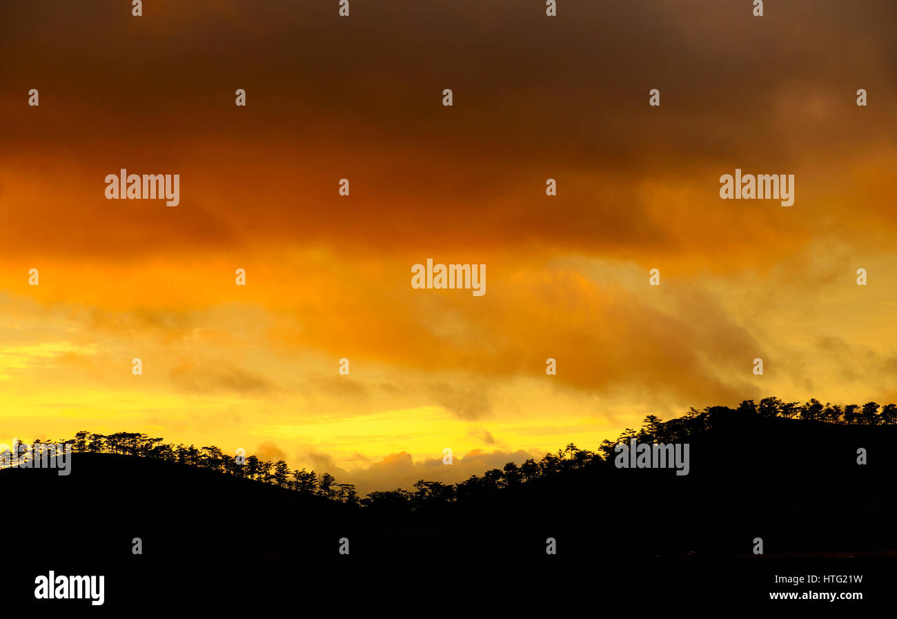 Amazing landscape of Dalat countryside in sunset, vibrant yellow sky with silhouette of row of trees make wonderful scene for Vietnam travel Stock Photo