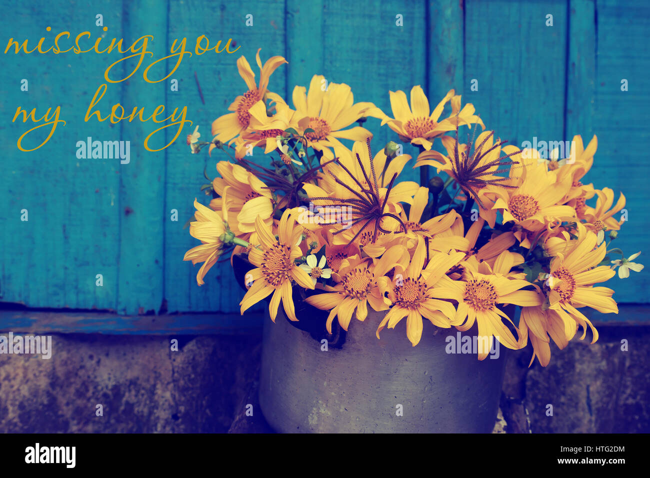 Vintage background with apologize for break up of love, hurt, sorry text  and missing, concept from wild sunflower on rustic blue wooden background  Stock Photo - Alamy