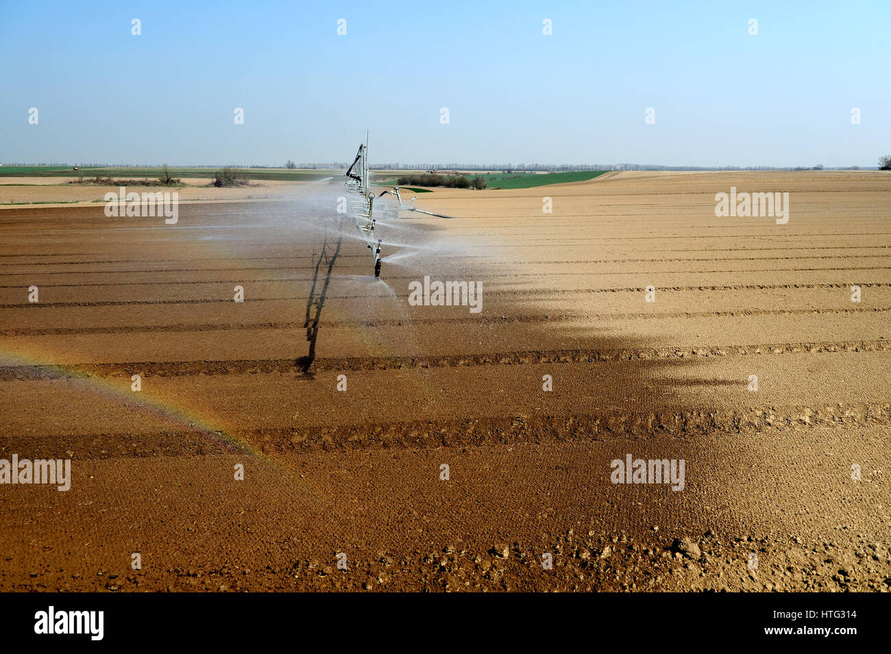 agricultural, agriculture, center, country, crop, crops, farm, farming, farms, field, fields, grain, grains, green, grow, growing, grows, earth, Stock Photo
