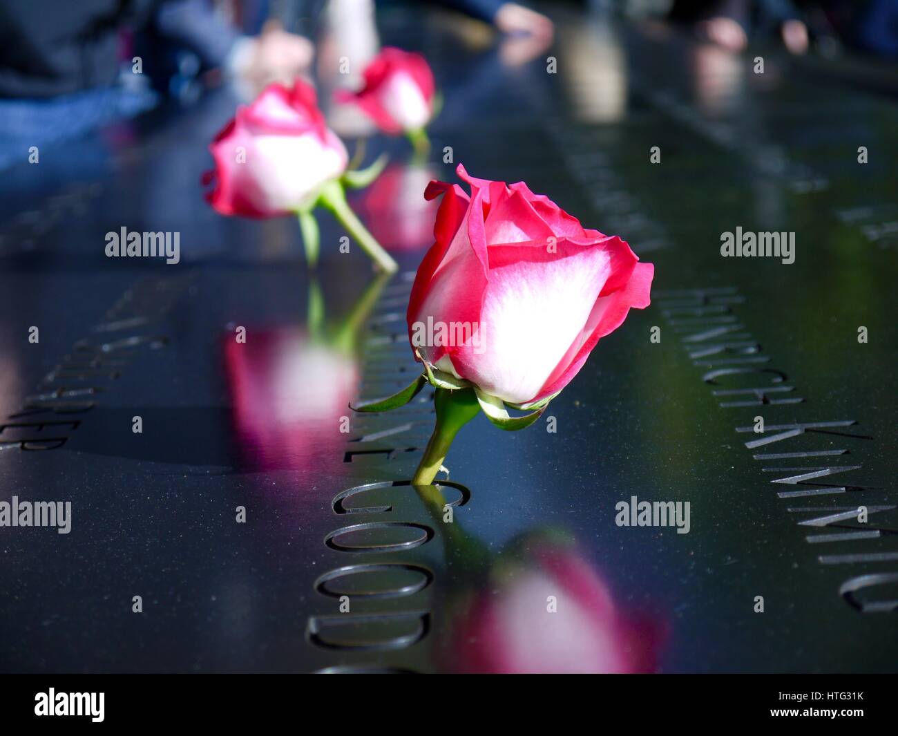 Roses at World Trade Center, New York Stock Photo