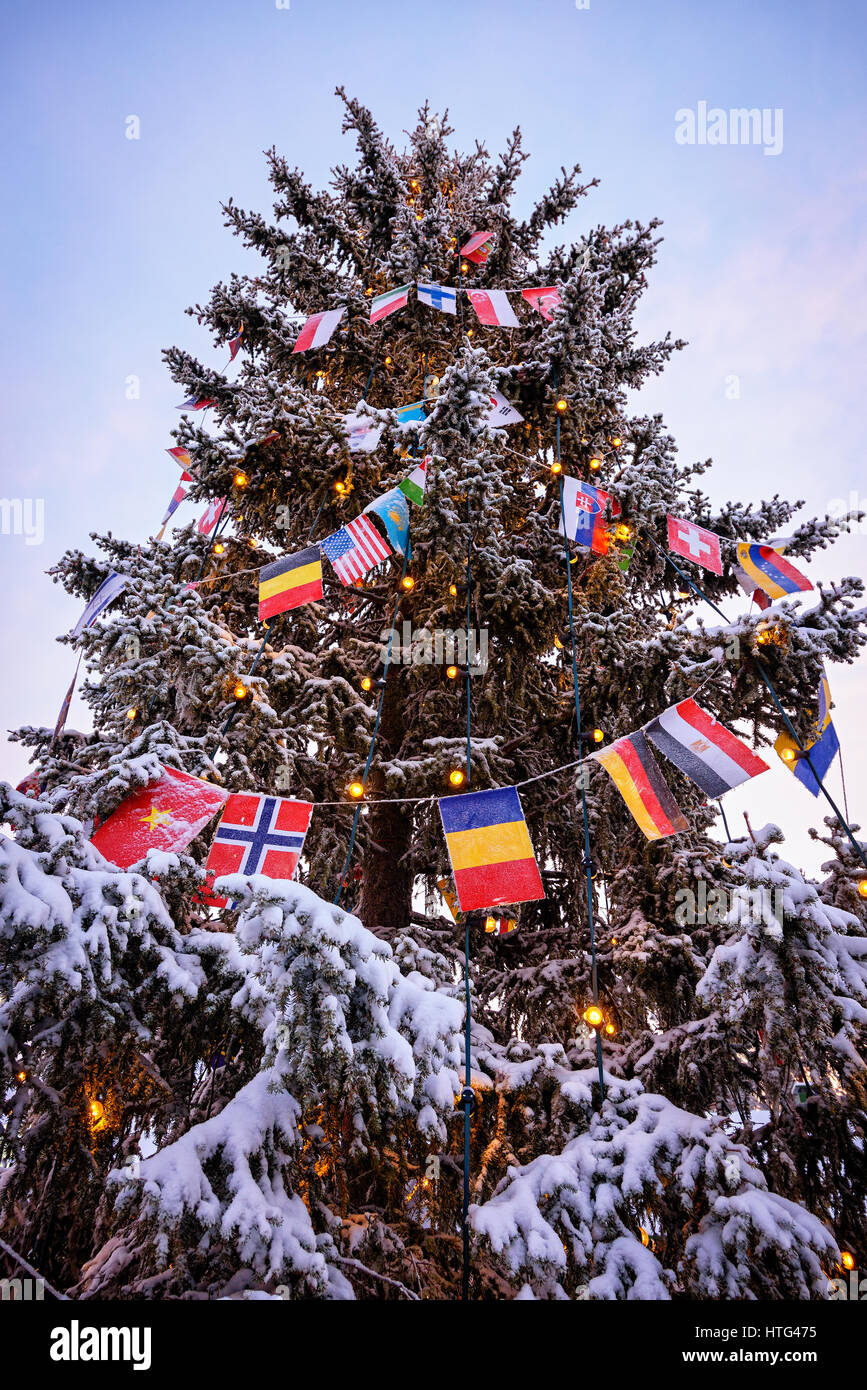 Snow covered pine christmas tree at the Santa Claus Village in