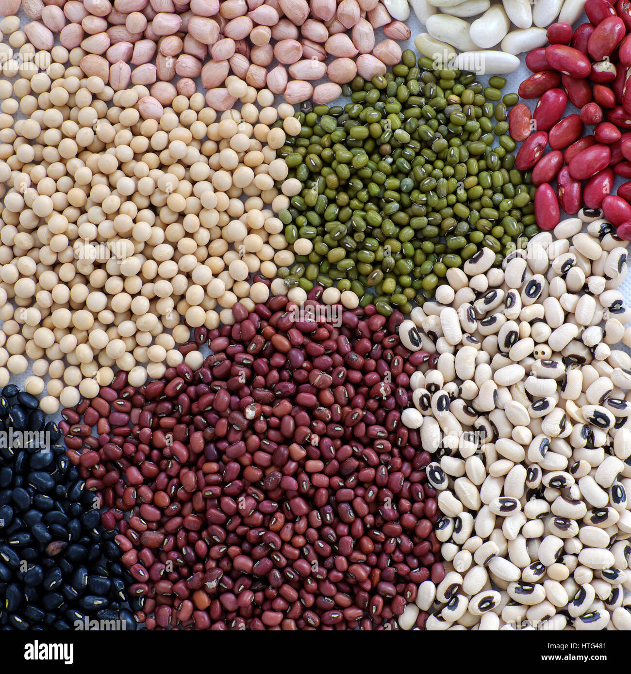 Collection of whole bean on white background, Vietnam agriculture