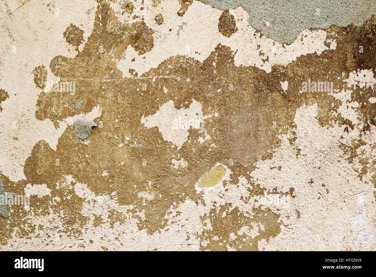 Detail old and damaged plaster Stock Photo Alamy
