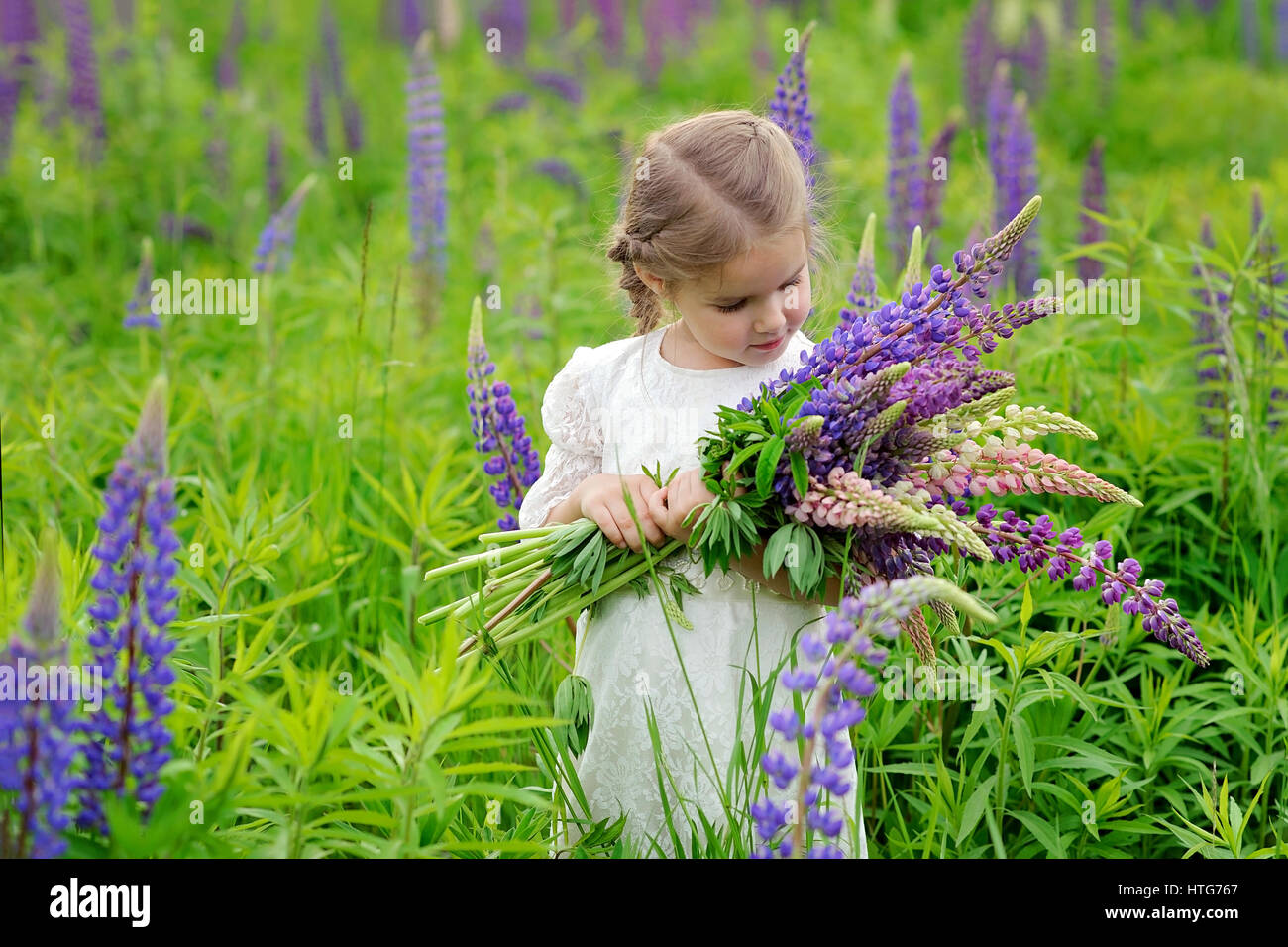 Little girl in white dress with bouquet at the green field with violet ...