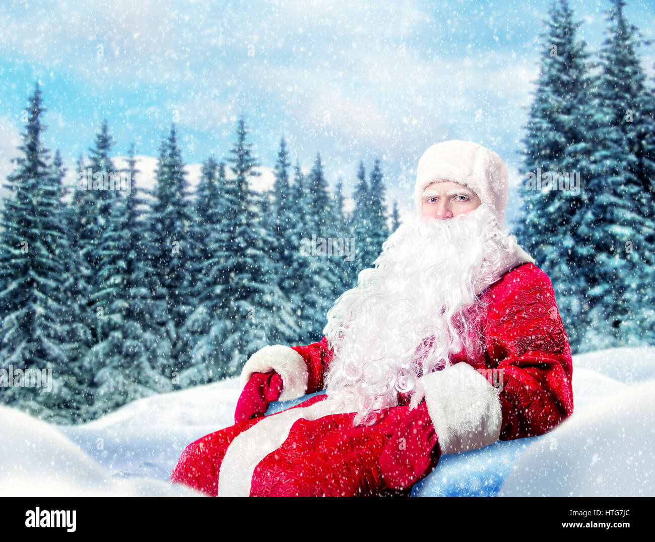 Bearded Santa Claus in a red costume, winter snowy pine forest on background Stock Photo