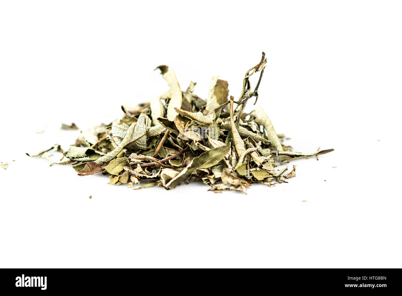 Yerba Santa Stock Photo Alamy