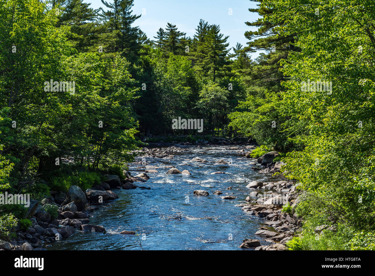 The Machias River is a river in Maine that flows from the Third Machias