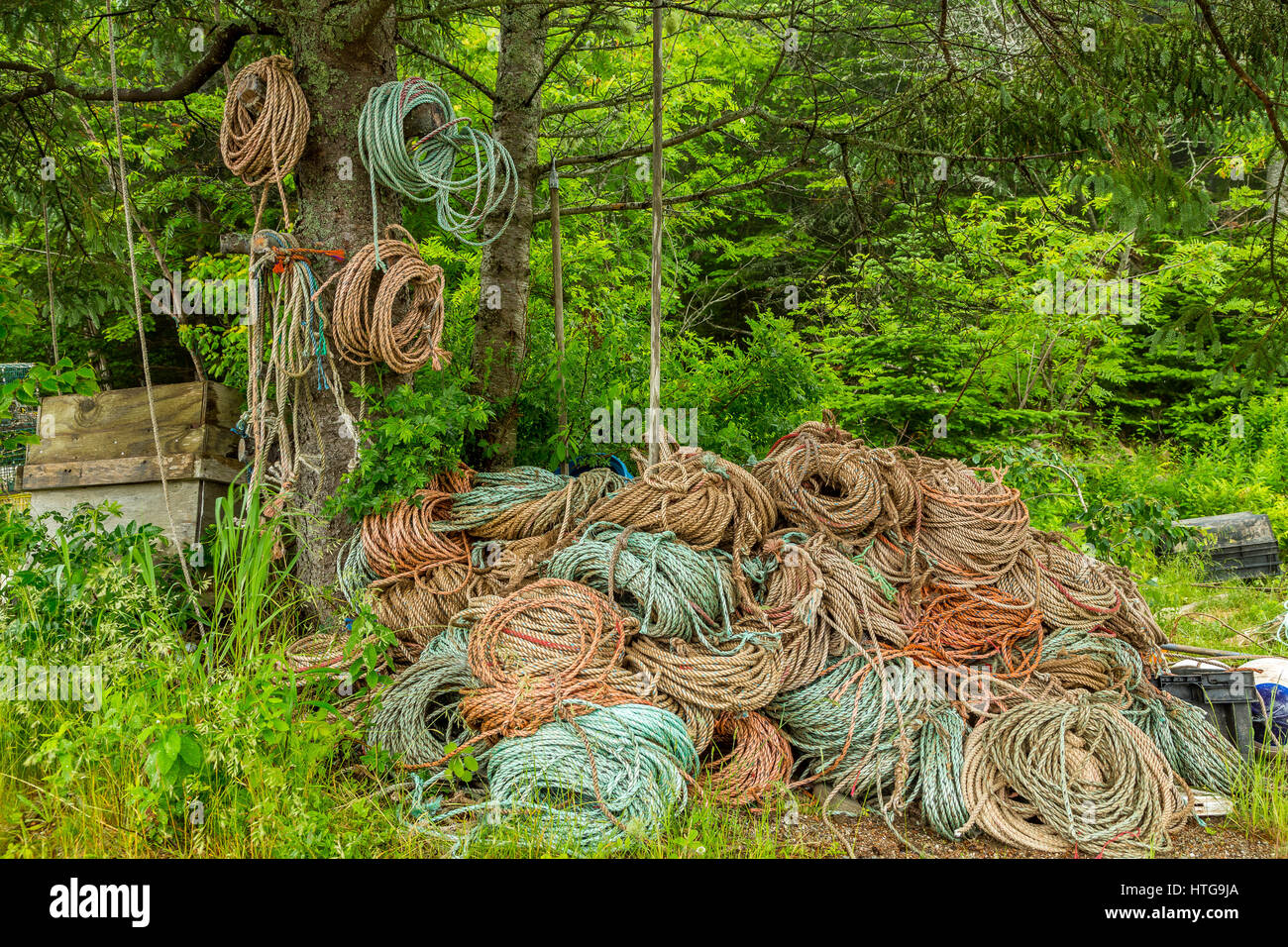 Large quantities of rope are necessary to have on hand when setting and pulling lobster traps. Stock Photo