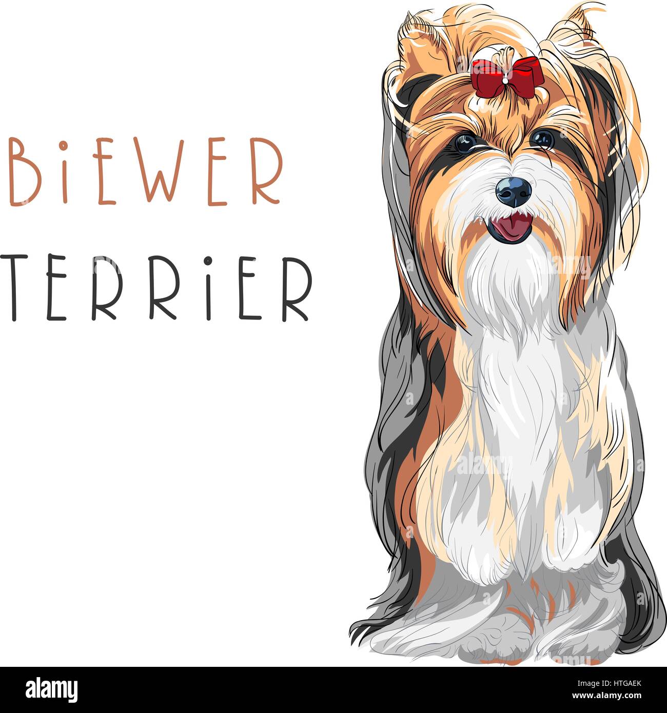 Vector funny Biewer Yorkshire Terrier dog sitting Stock Vector