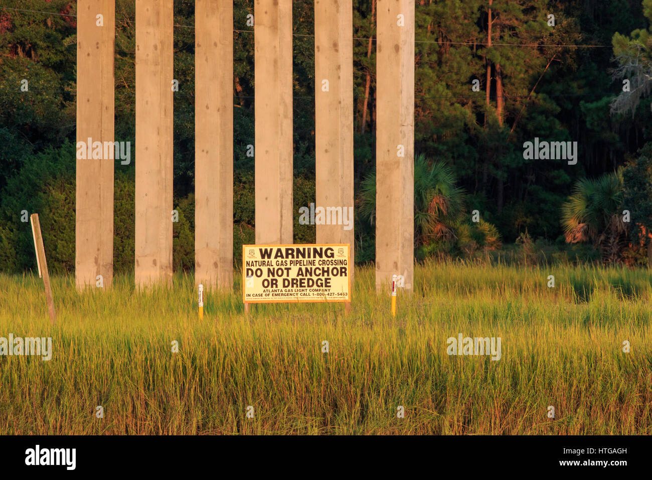 Grasses in salt marsh, bridge in the background with hidden natural gas pipeline Stock Photo