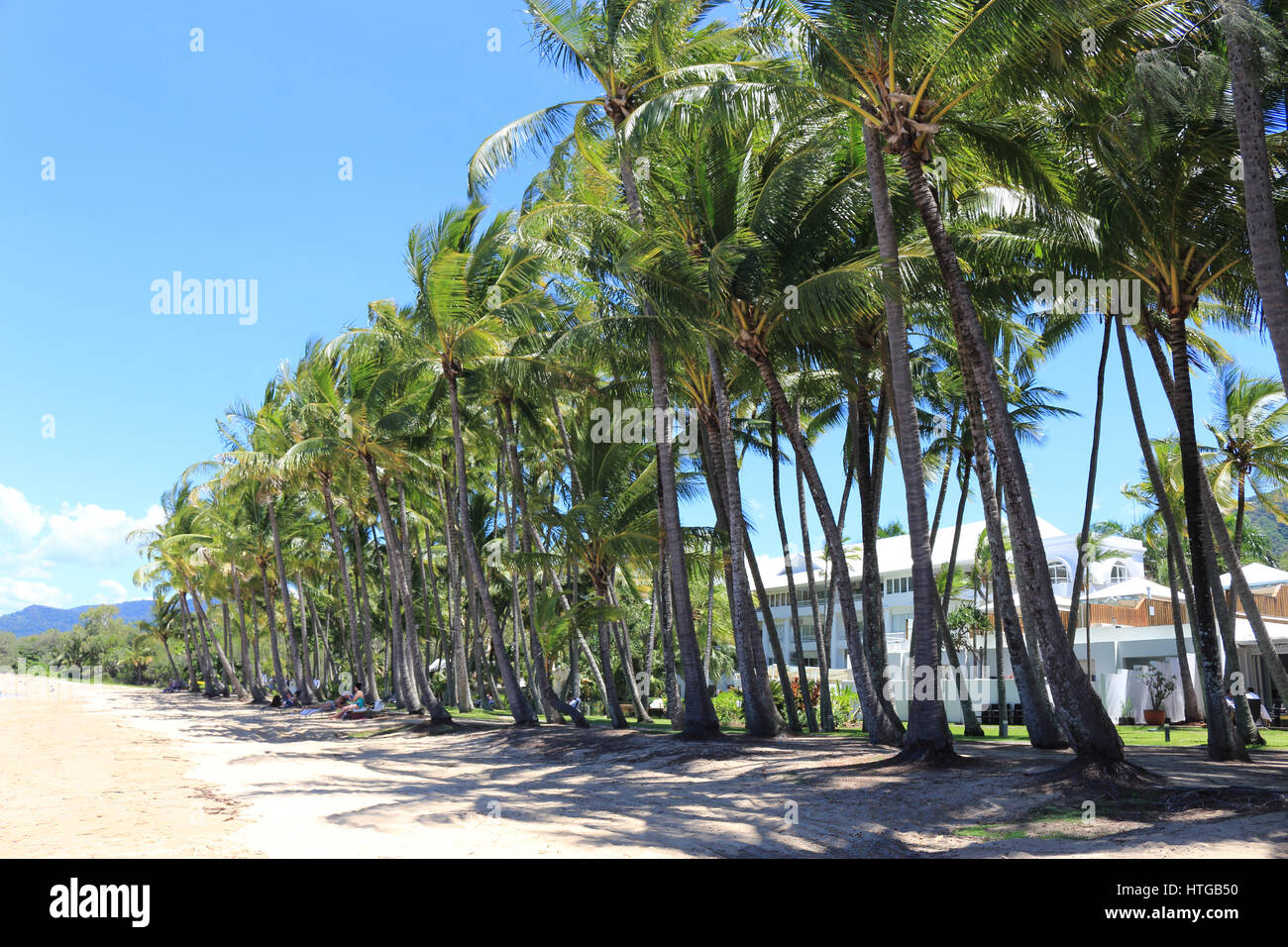 Palm Cove beach at the palm tree grove in front of Alamanda on a sunny day with onshore winds, showing the expanse of unoccupied sand off to the south Stock Photo