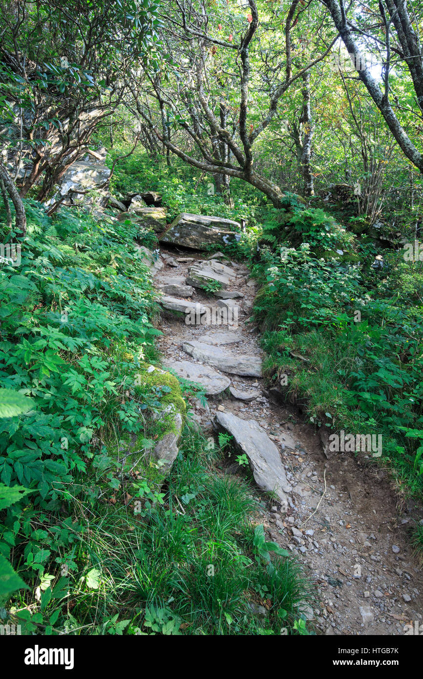 Hiking trail at Craggy Garden, North Carolina Stock Photo