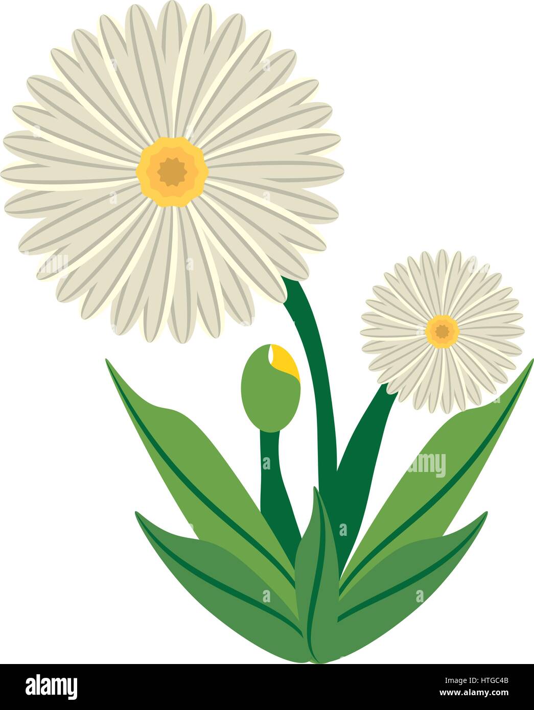 daisy flower image icon Stock Vector Image & Art - Alamy