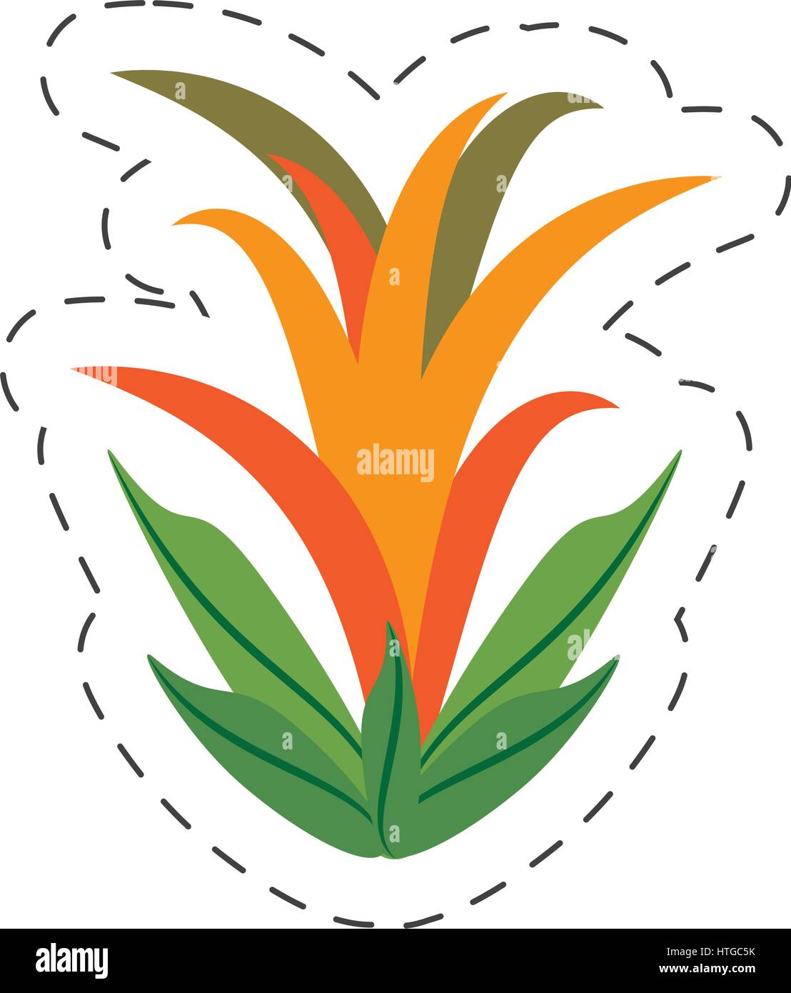 cartoon guzmania flower image Stock Vector Image & Art - Alamy