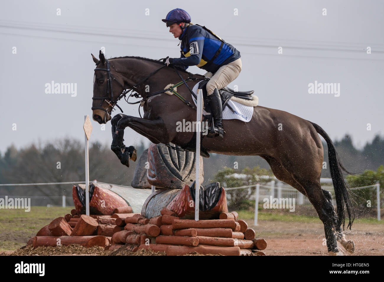 Tweseldown, UK. 11th March 2017. The BE Horse Trials at Tweseldown.Zara Tindall Riding Castle Black II at Tweseldown Horse Trials Credit: Scott Carruthers/Alamy Live News Stock Photo