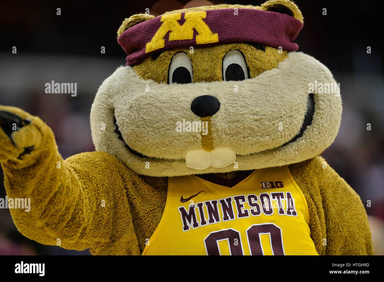 Goldy Gopher Stock Photos Goldy Gopher Stock Images Alamy