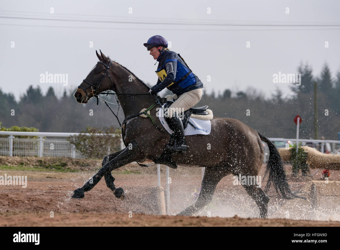 Tweseldown UK. 11th March 2017. Riders from across the country compete in the BE horse trials. Credit: Scott Carruthers/Alamy Live News Stock Photo