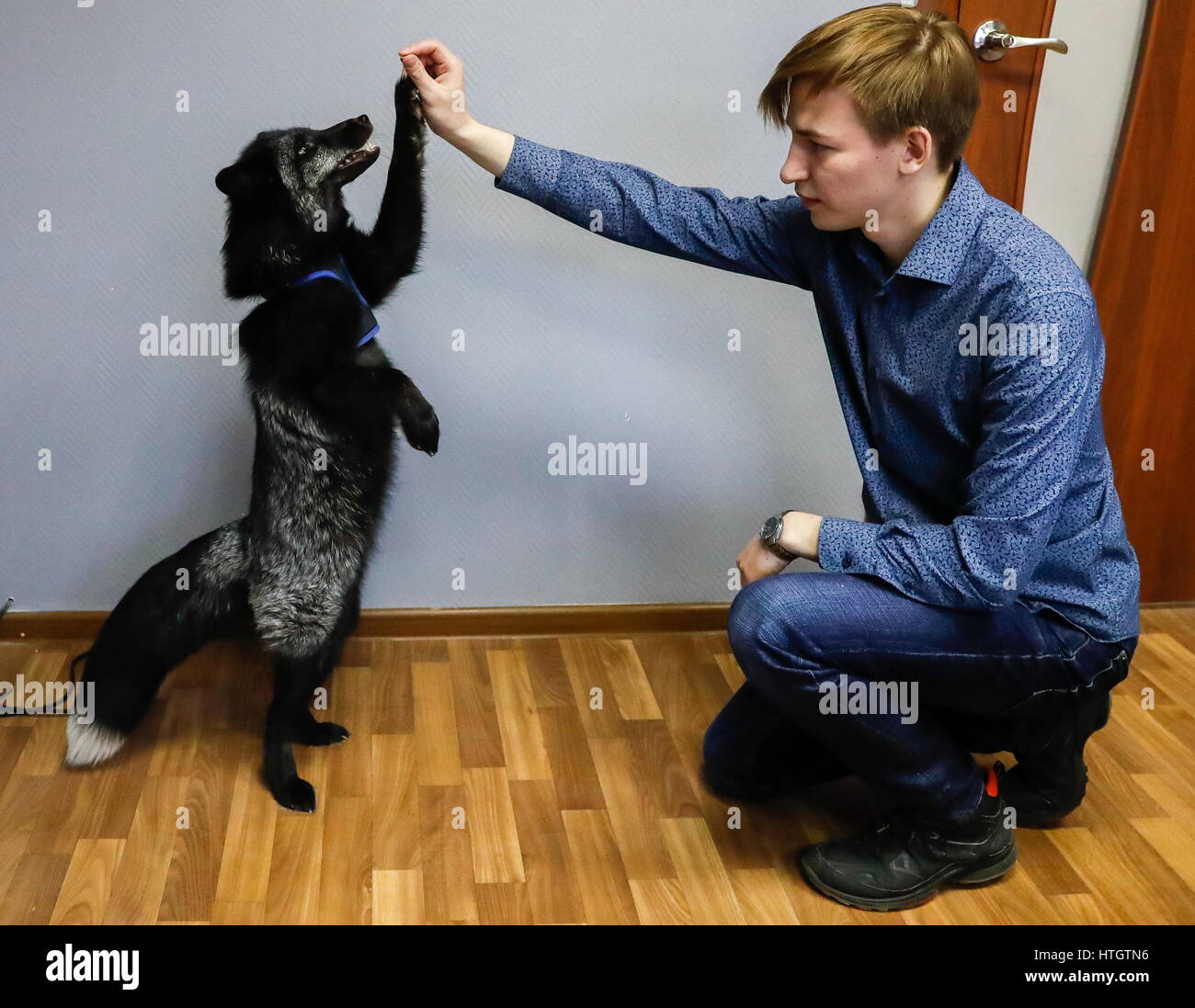 Dmitry Belyaev High Resolution Stock Photography and Images Alamy