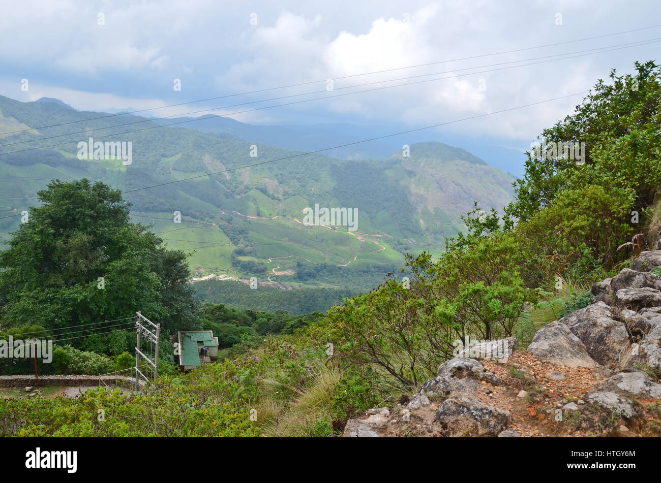 Misty mountains of Munnar in Kerala, India where tea is grown is one of the tourist destinations, especially during summer Stock Photo