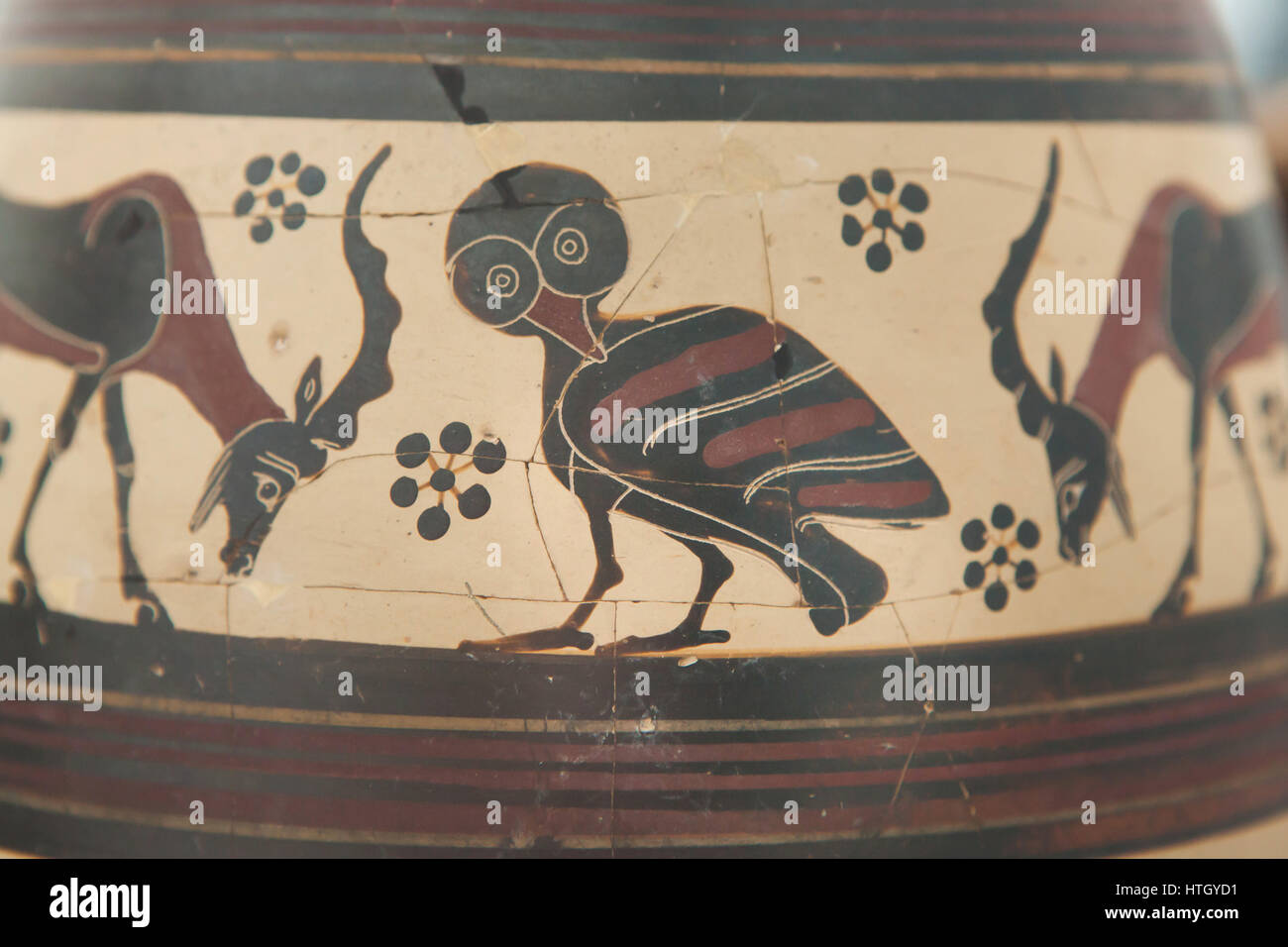 Owl depicted on the Corinthian black-figure oil jug from 650-625 BC on display in the Staatliche Antikensammlungen (Bavarian State Collection of Antiques) in Munich, Bavaria, Germany. Stock Photo