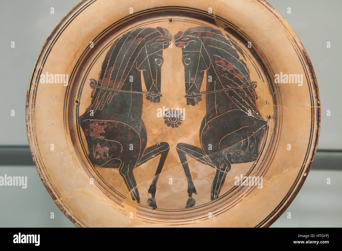 Corinthian black-figure plate decorated with horses heads from 600-575 BC on display in the Staatliche Antikensammlungen (Bavarian State Collection of Antiques) in Munich, Bavaria, Germany. Stock Photo