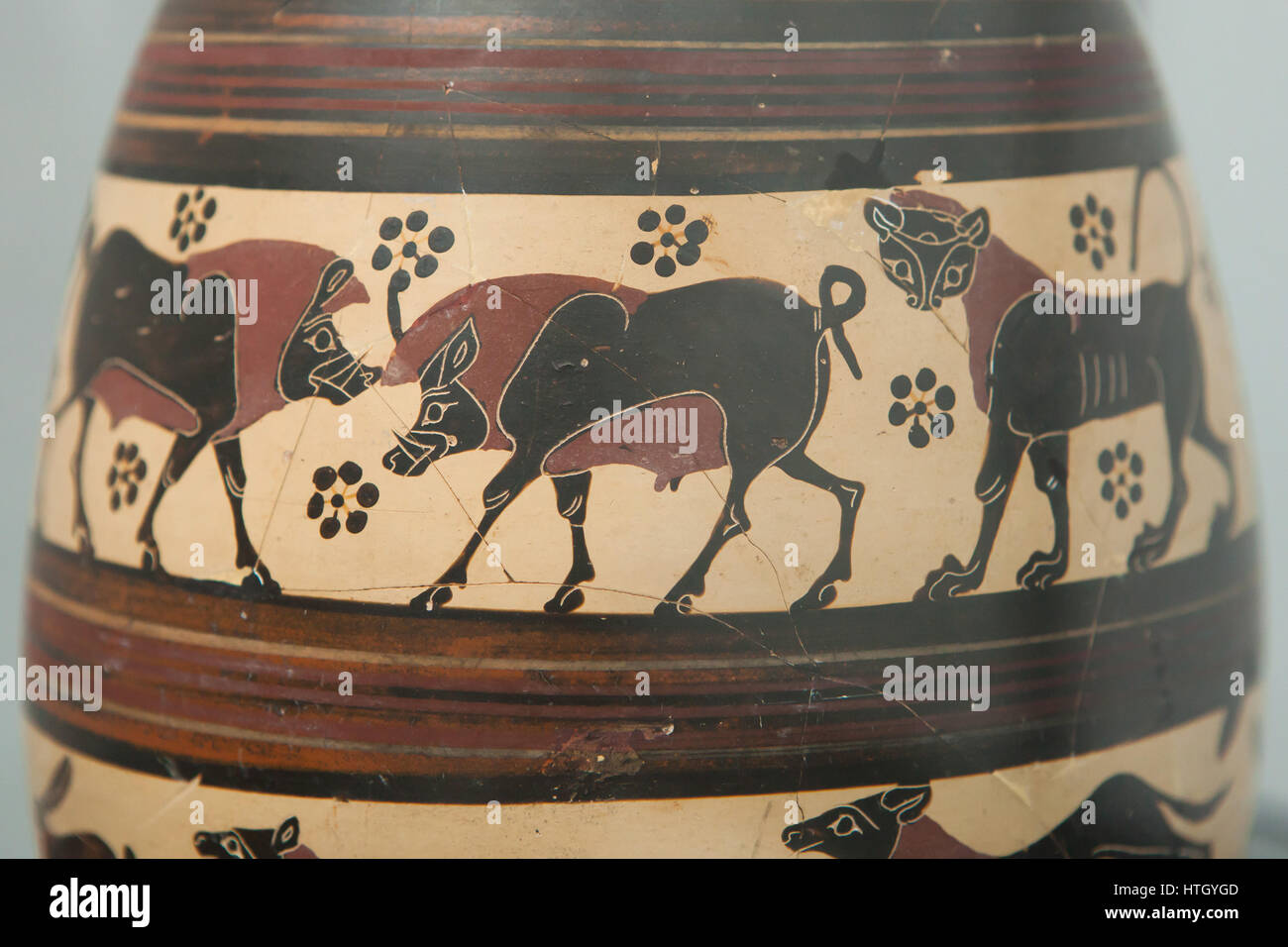 Wild boars depicted on the Corinthian black-figure oil jug from 650-625 BC on display in the Staatliche Antikensammlungen (Bavarian State Collection of Antiques) in Munich, Bavaria, Germany. Stock Photo