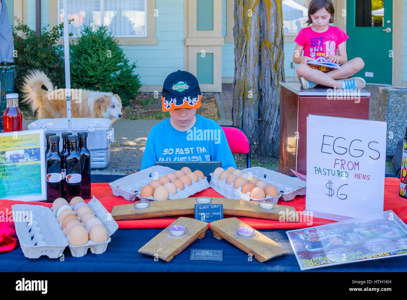 Eggs for sale at Farmers Market, Lytton, British Columbia, Canada Stock Photo