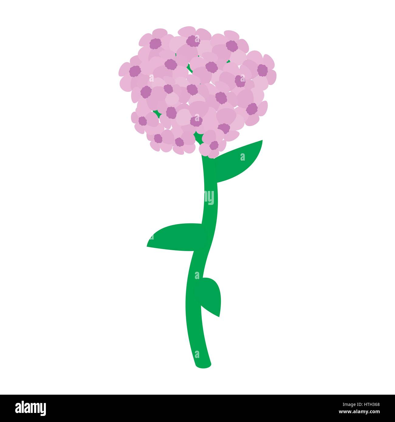 Pink hydrangea icon, isometric 3d style Stock Vector Image & Art - Alamy