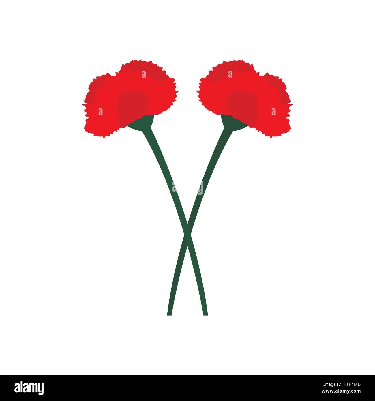 Red carnation flowers Stock Vector Images Alamy