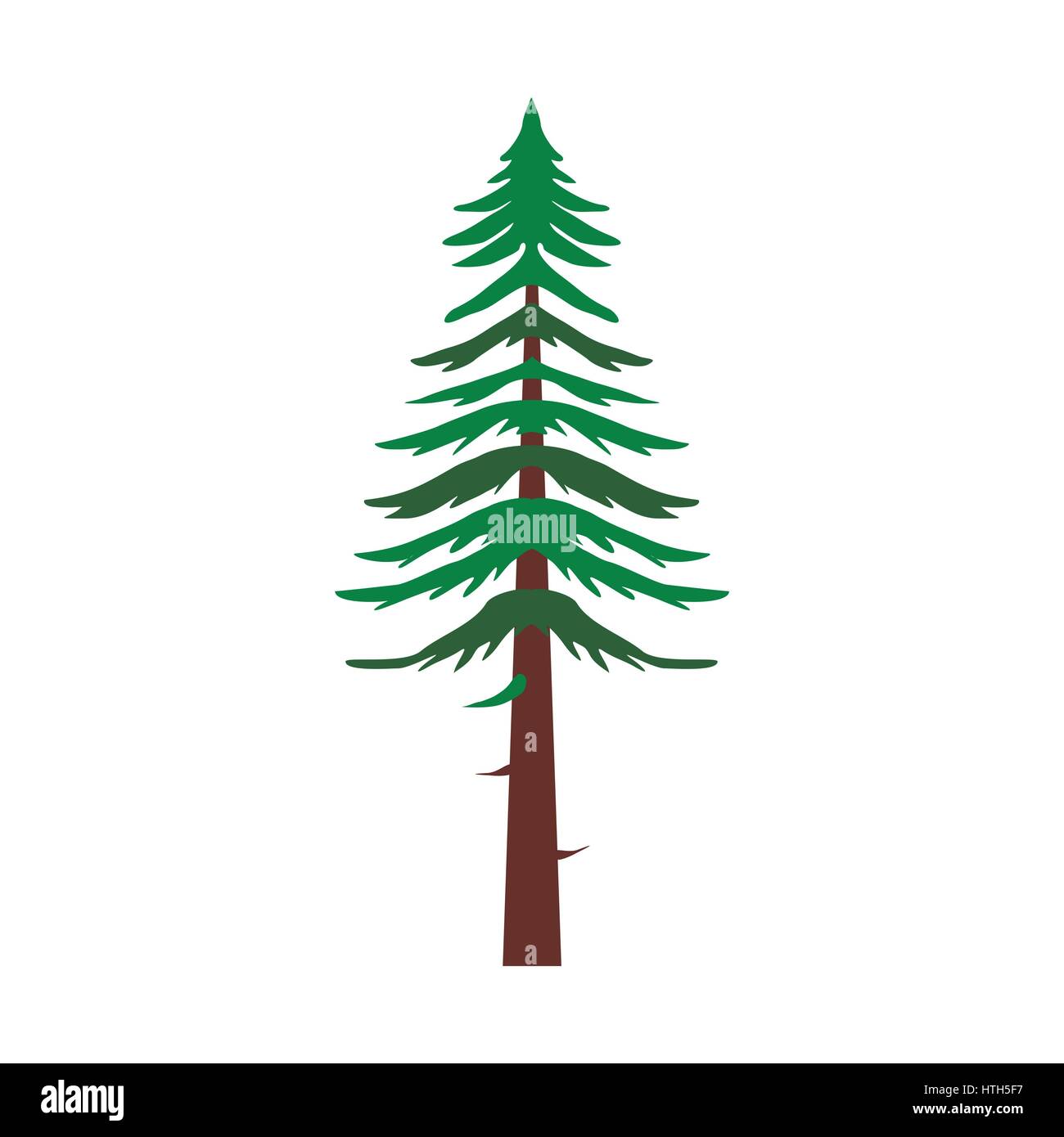 Canadian fir icon, flat style Stock Vector