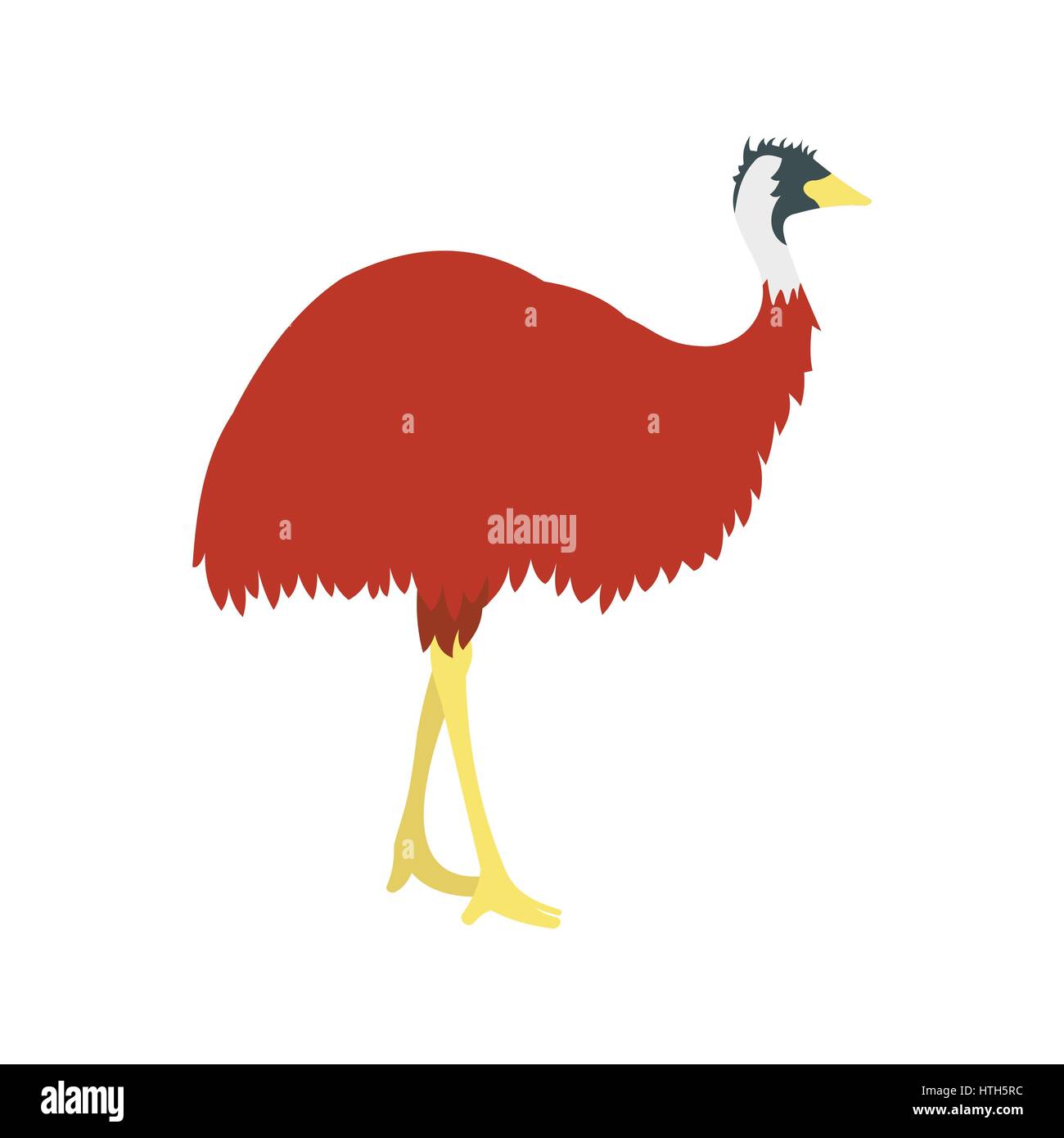Animal native flightless Stock Vector Images - Alamy