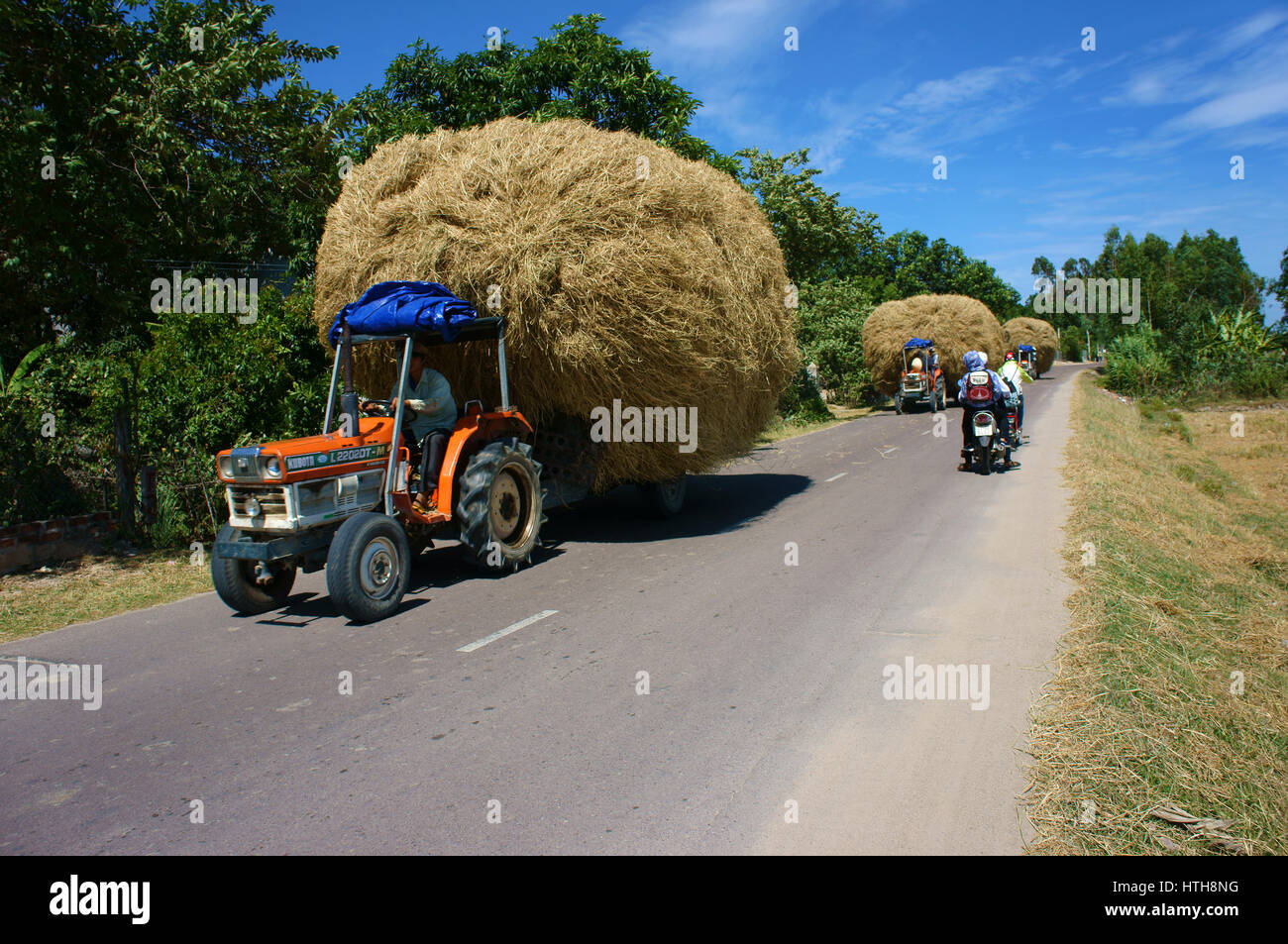 BINH DINH, VIET NAM- AUG 23, 2015: Asian farmer transport rice straw by farm tractor on country road, a danger traffic from transportation Stock Photo