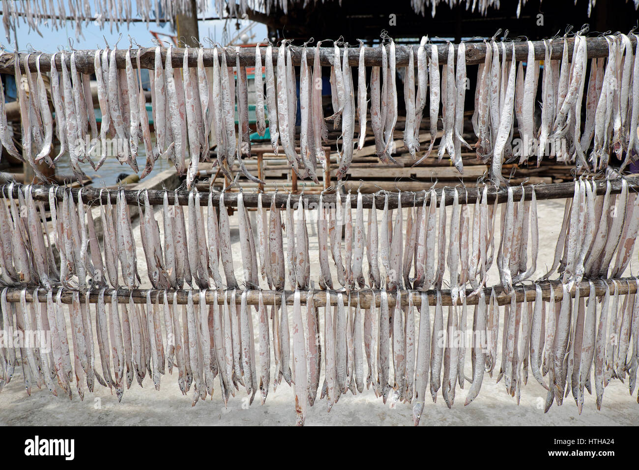 Seafood at Ca Mau fishing village, Mekong Delta, Vietnam. Dried fish is