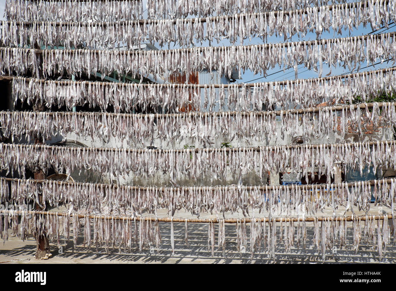 Seafood at Ca Mau fishing village, Mekong Delta, Vietnam. Dried fish is