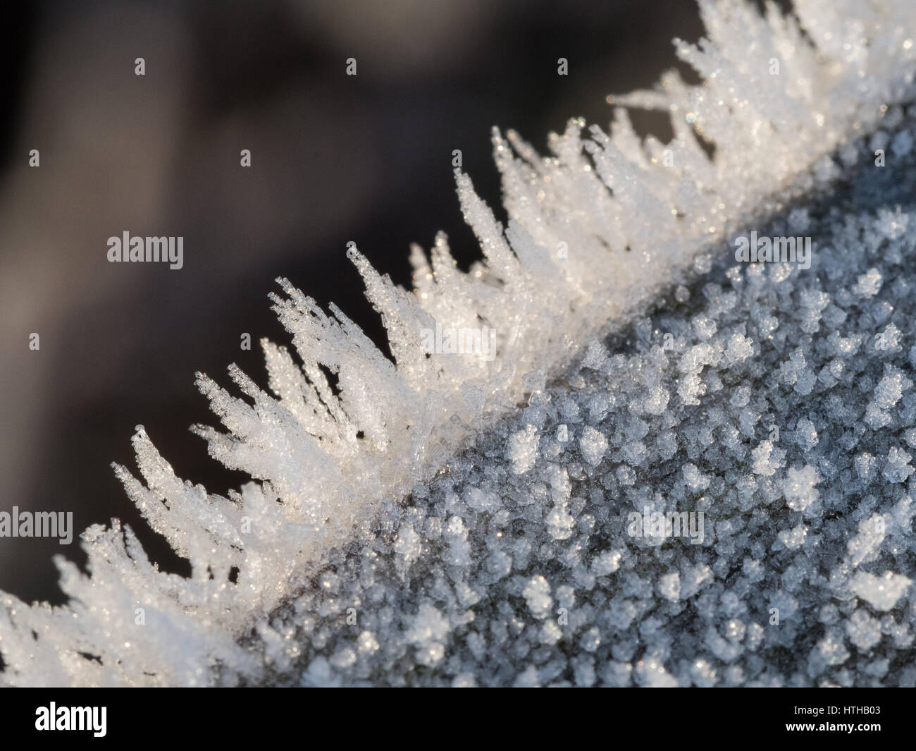 ice crystal formation spikes and shapes on a piece of diagonal timber