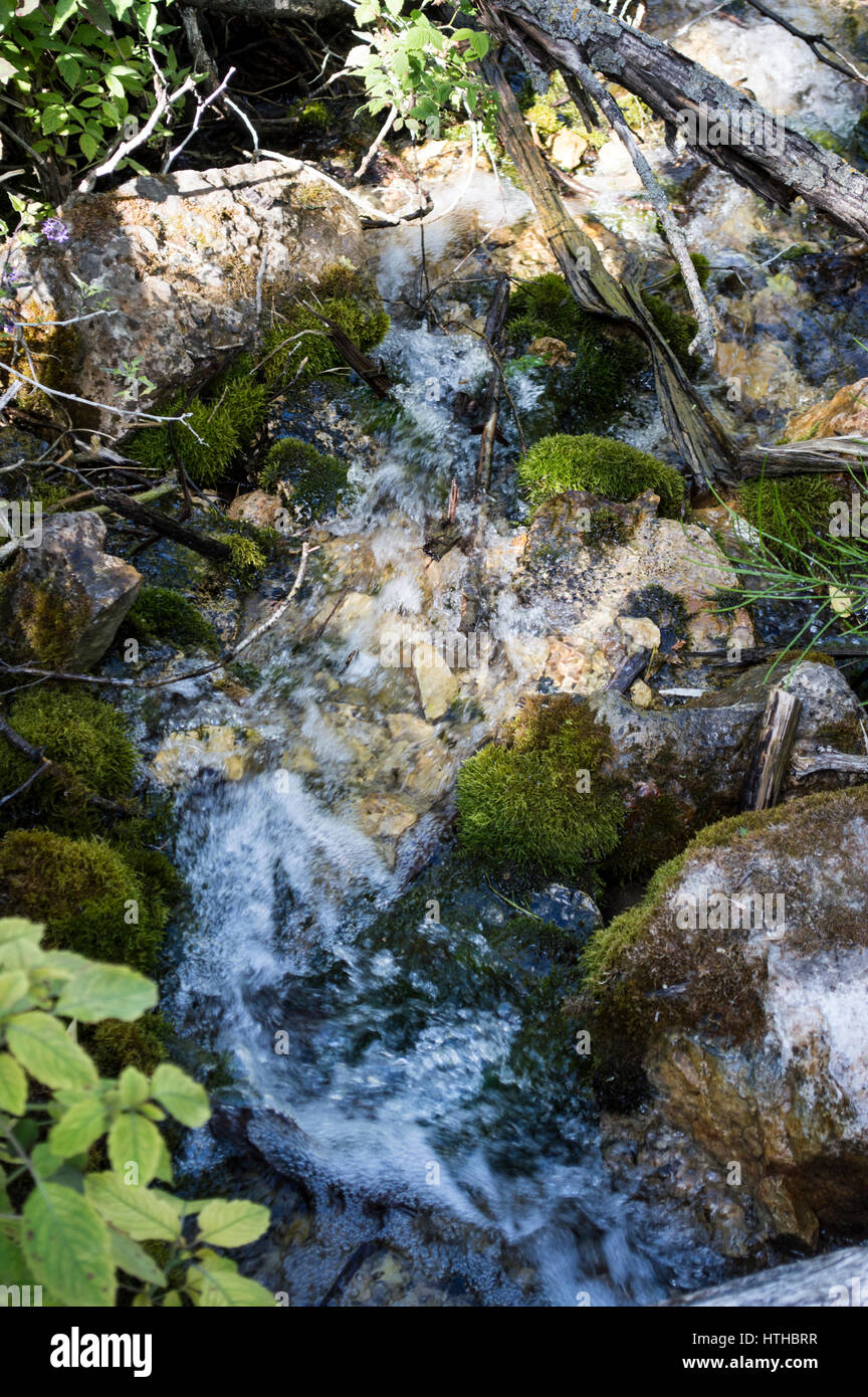 Rushing Stream near Maribel Caves near Green Bay, Wisconsin Stock Photo