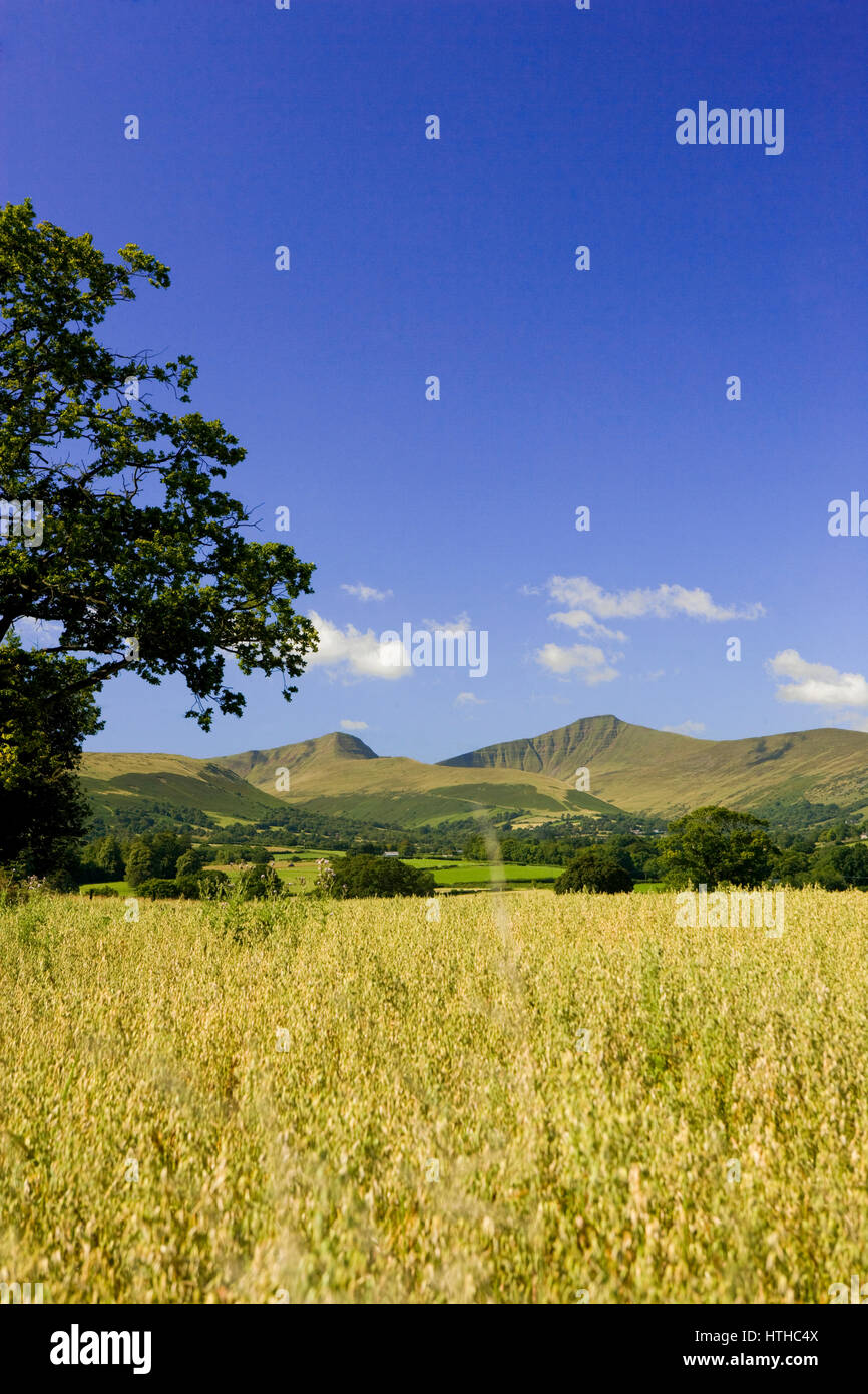 Pen y Fan, Corn Du, Cribyn and central massif, View from Pen y Crug in late summer, Brecon Beacons National Park. Stock Photo